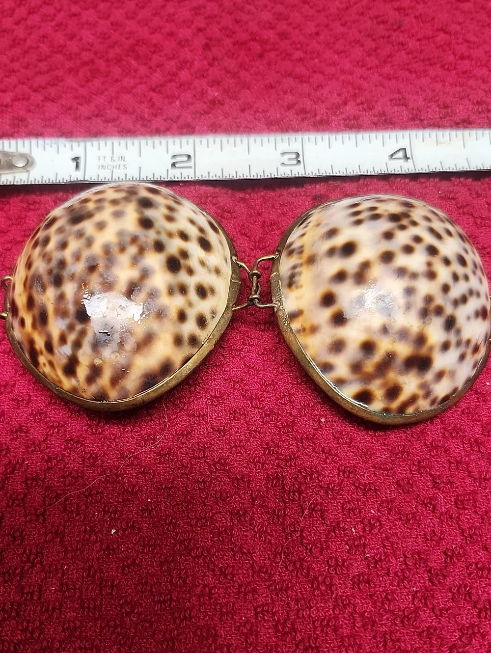 Vintage Shell Clam Compact Trinket Case - Brown Speckled